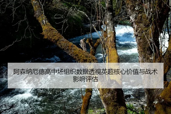 阿森纳厄德高中场组织数据透视英超核心价值与战术影响评估
