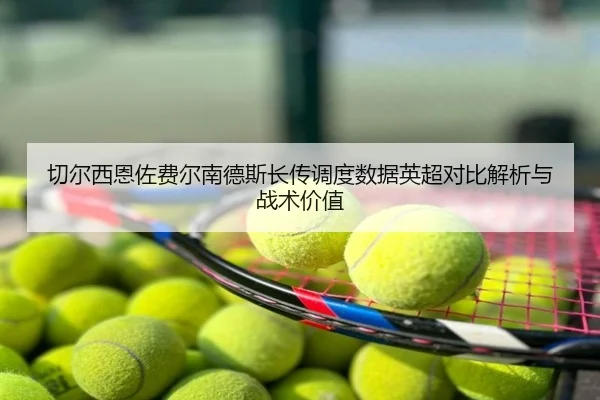 切尔西恩佐费尔南德斯长传调度数据英超对比解析与战术价值